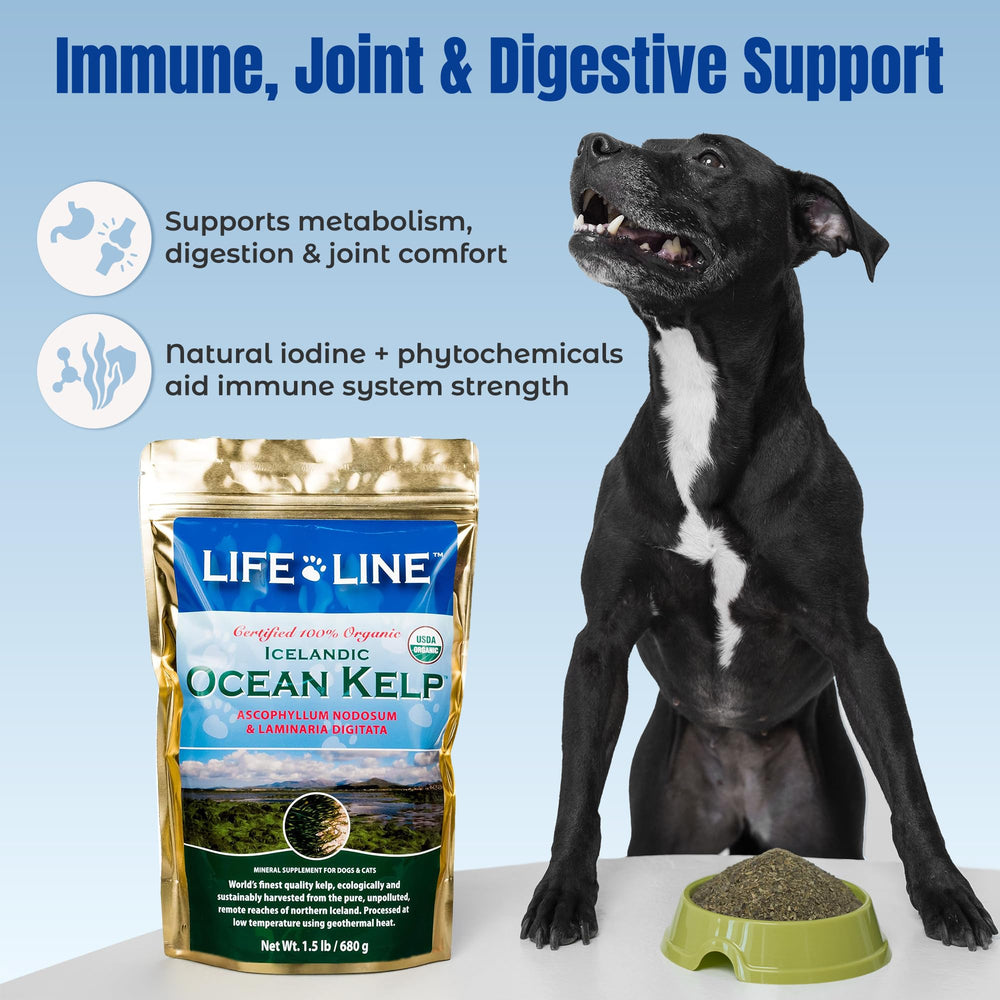 Life Line sachet 1,5 lb à côté d'une main pour évaluer l'échelle