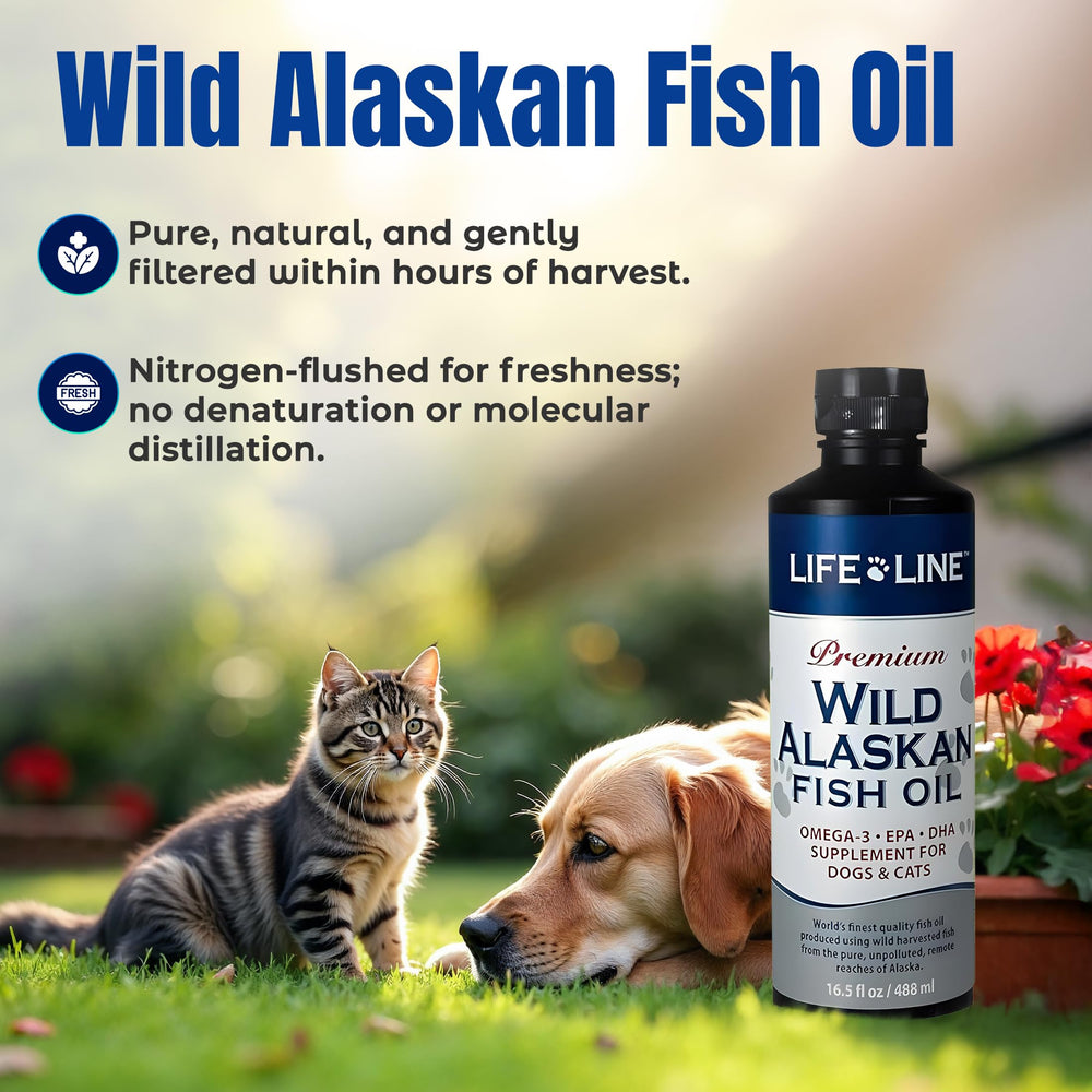 Life Line Pet Nutrition zoom sur le bec doseur siliconé pour distribution sans goutte