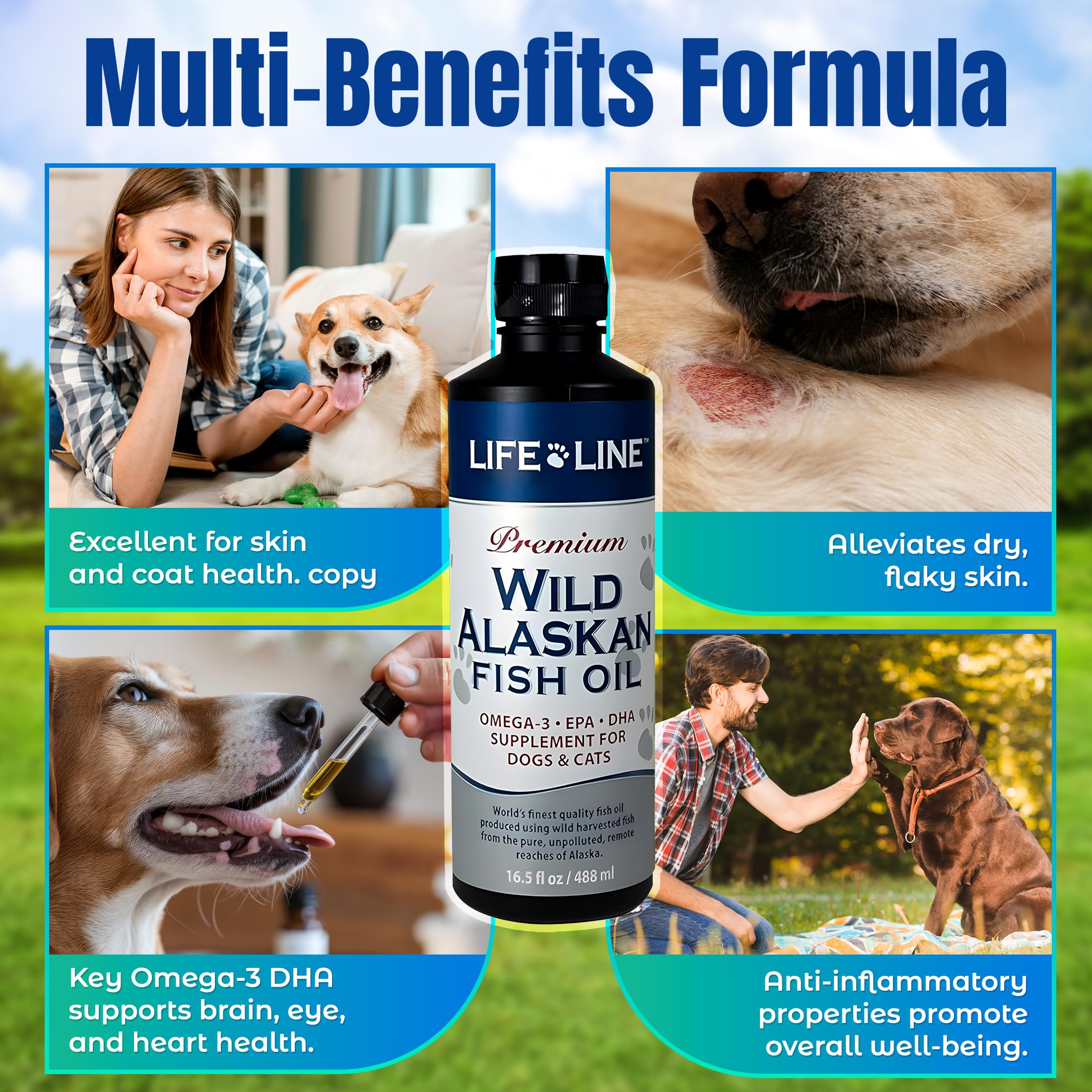 Life Line Pet Nutrition huile claire versée pour montrer texture lisse et sans odeur