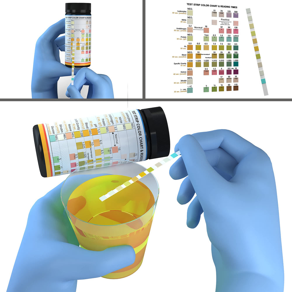 life2O collecte d'urine de chat avec litière non absorbante pour test fiable