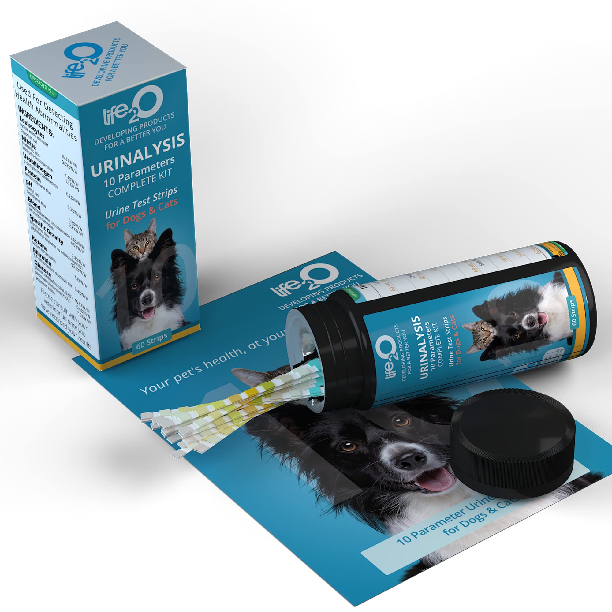 life2O propriétaire testant l'urine d'un chien pour surveillance à domicile
