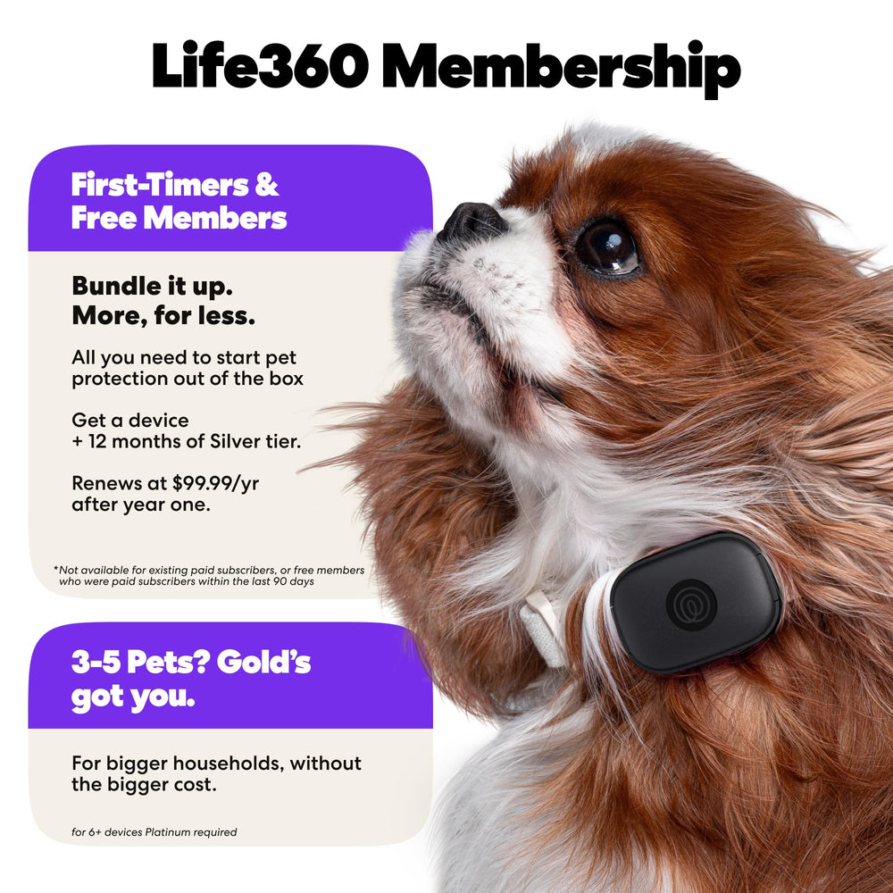Life360 indicateur de batterie illustrant longue autonomie pratique