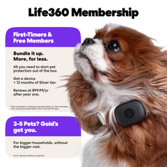 Life360 indicateur de batterie illustrant longue autonomie pratique