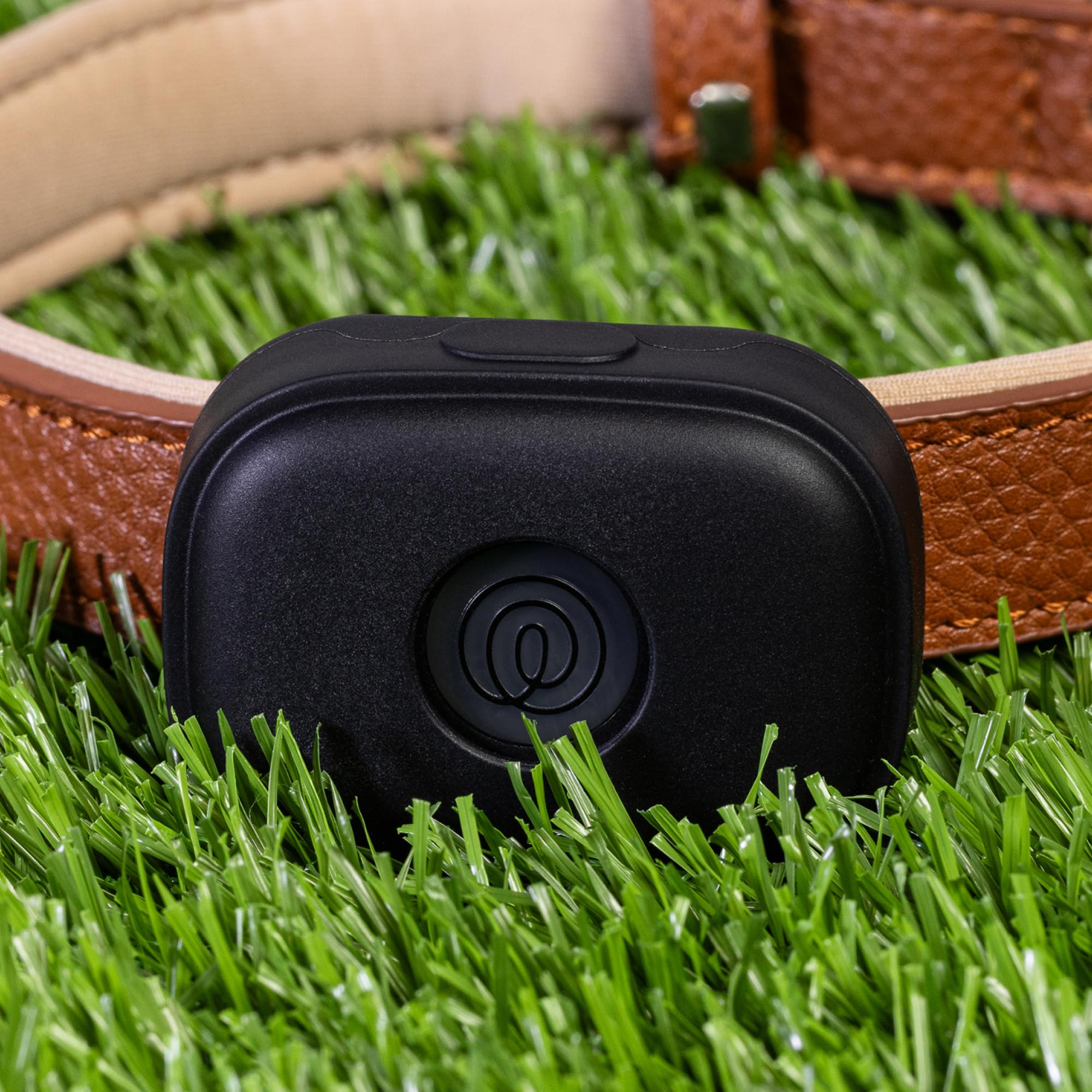 Life360 comparaison taille avec chien montrant légèreté 32 g