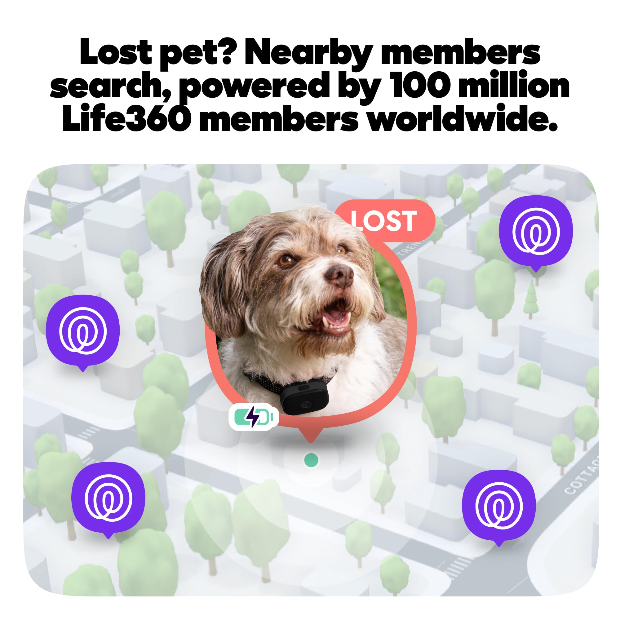 Life360 traceur fixé au collier illustrant port sûr et confort