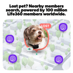 Life360 traceur fixé au collier illustrant port sûr et confort
