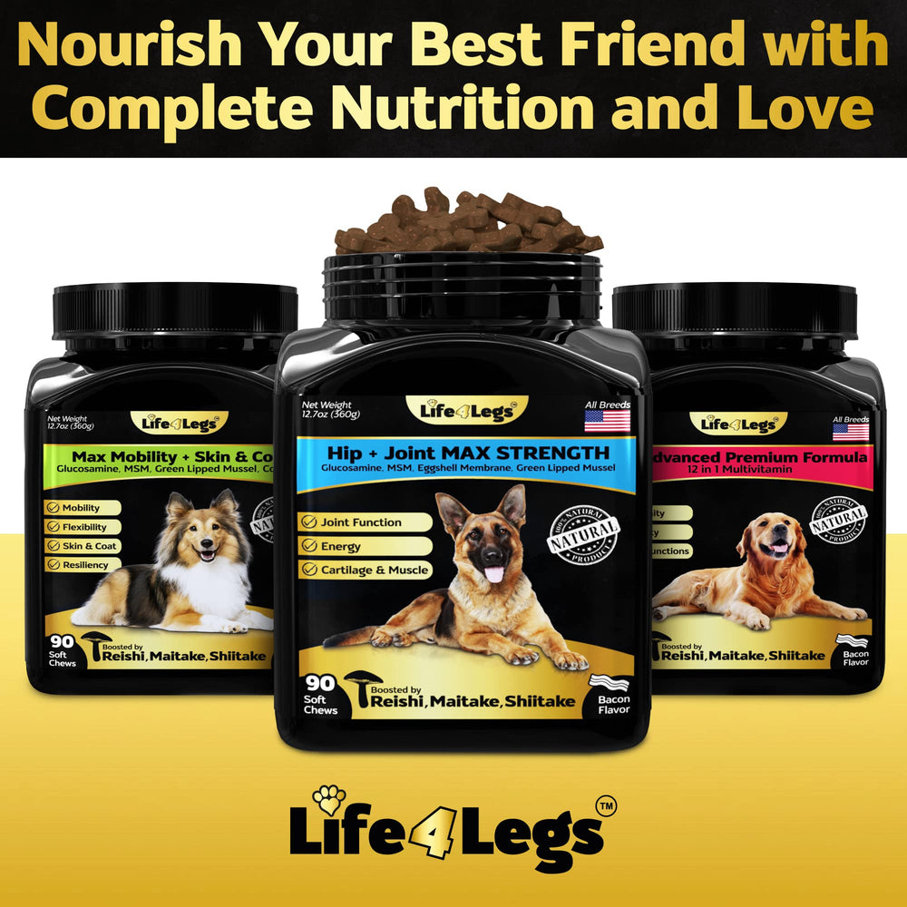 Life4Legs boîte ouverte avec 30 chews pour routine quotidienne