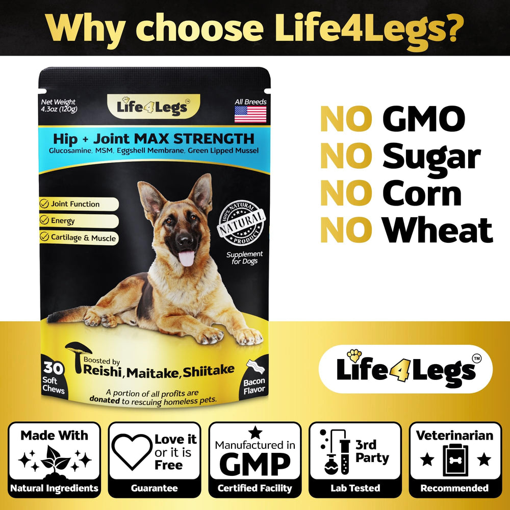 Life4Legs étiquette ingrédients détaillés pour transparence qualité