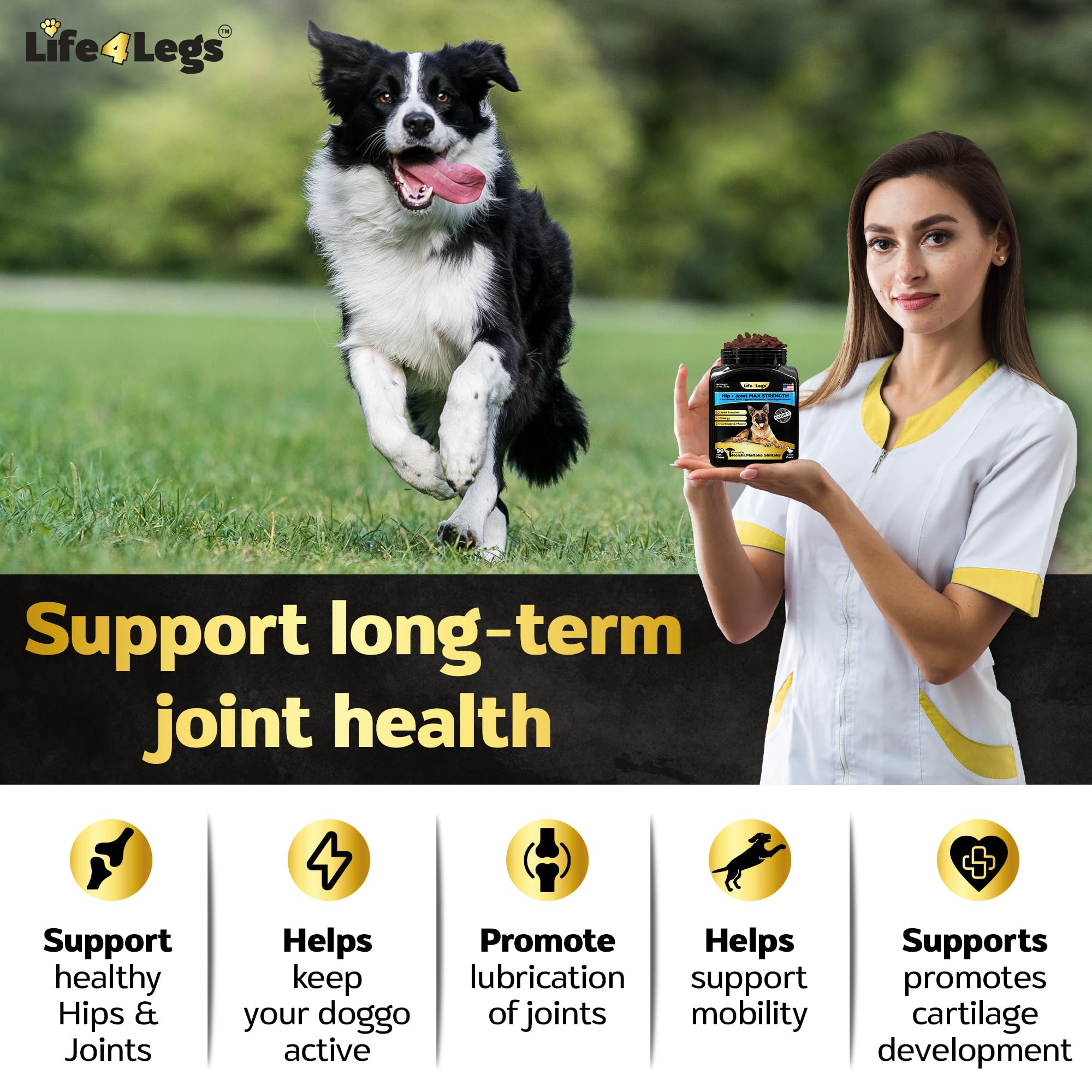 Life4Legs comparaison de taille montrant échelle et portion quotidienne
