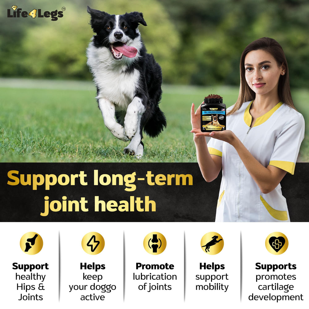 Life4Legs comparaison de taille montrant échelle et portion quotidienne