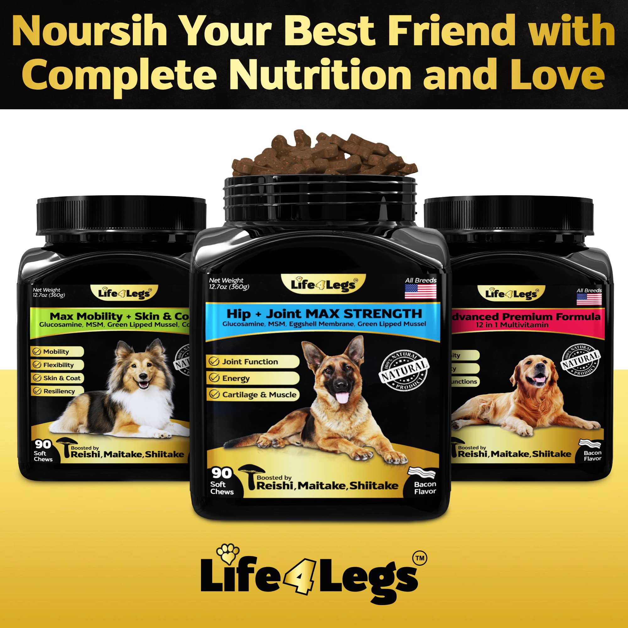 Life4Legs chien en promenade montrant mobilité soutenue