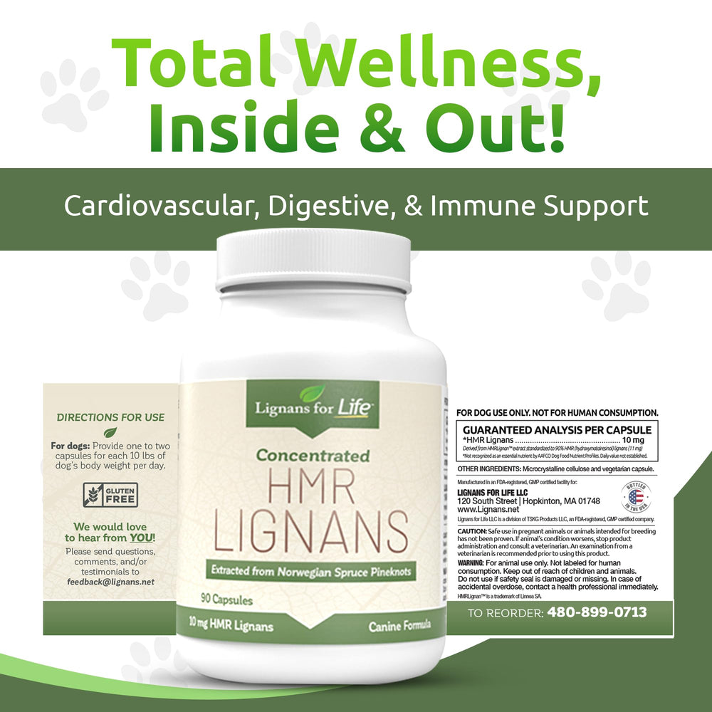 Lignans For Life gélule tenue en main pour visualiser la taille et dosage adapté