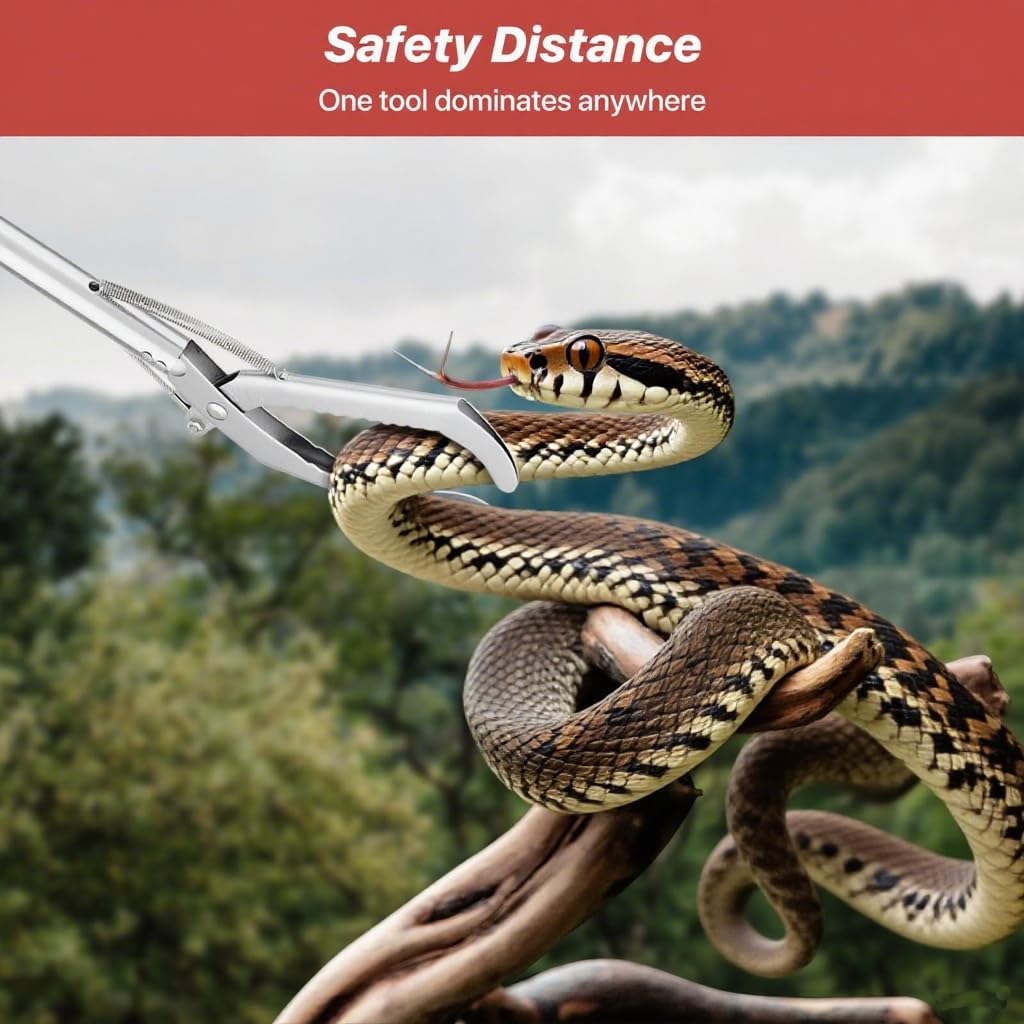 Likorlove outil en action pour relocation sécurisée du reptile