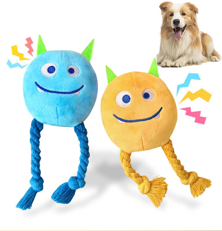 lilfrd face avant du lot montrant couleurs et visages ludiques, attire le chien