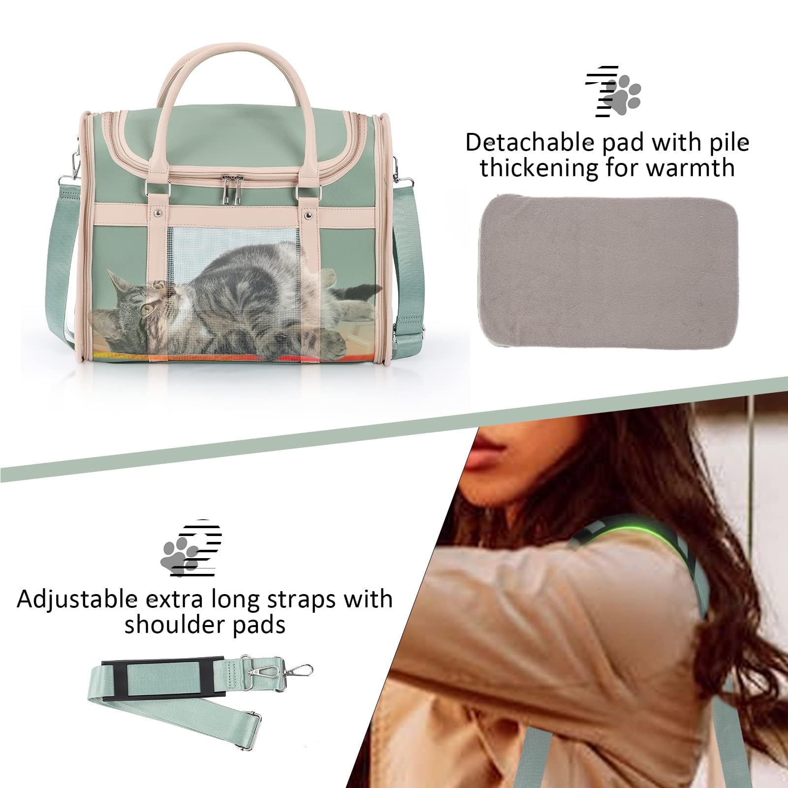 Lilliella comparaison taille avec petit chien montrant espace adapté