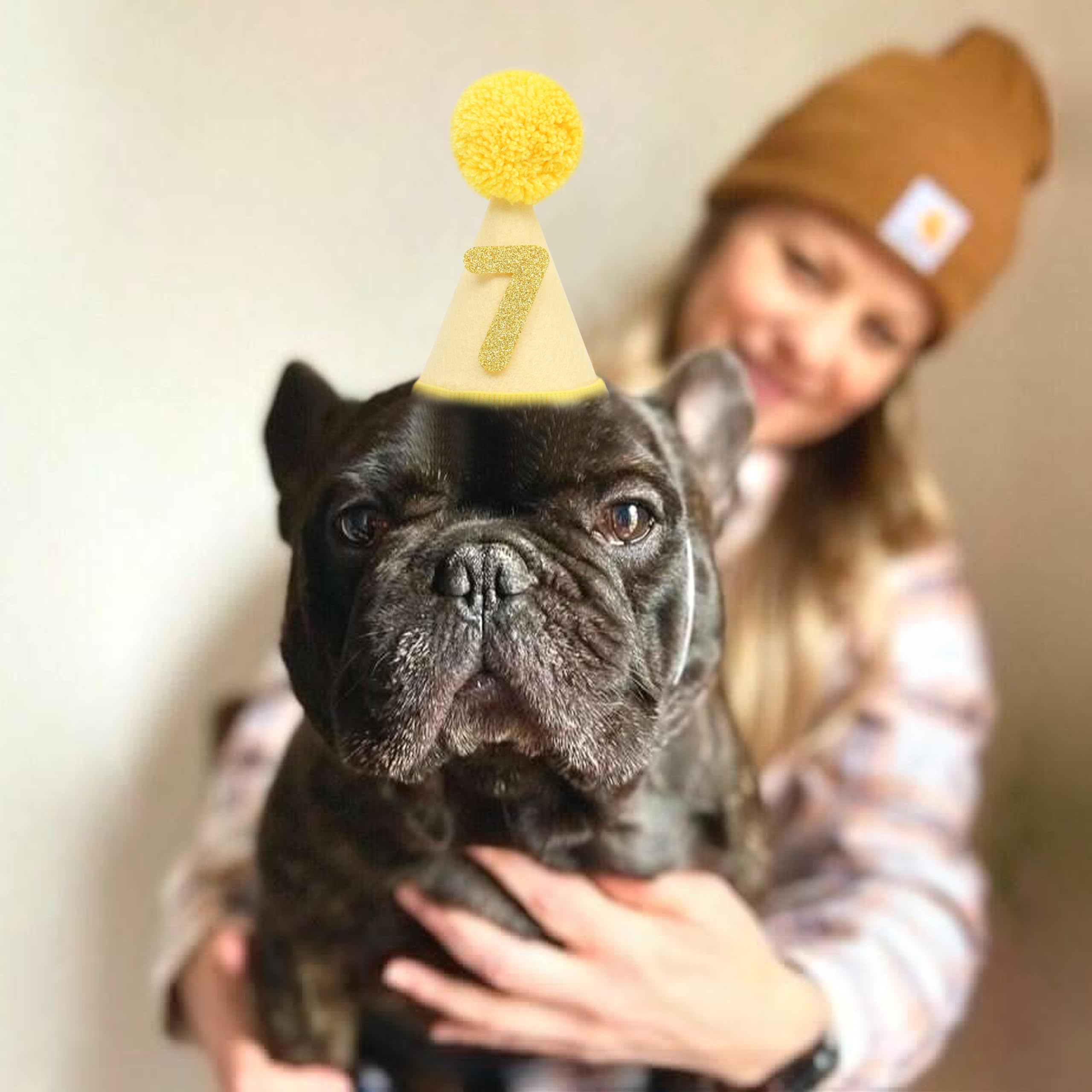 LINGANA chapeau porté par un chien prêt pour photo de fête