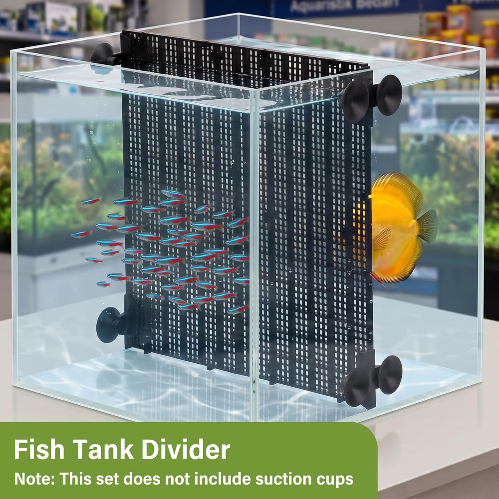 LINLAN comparaison taille montrant échelle et compatibilité avec aquarium