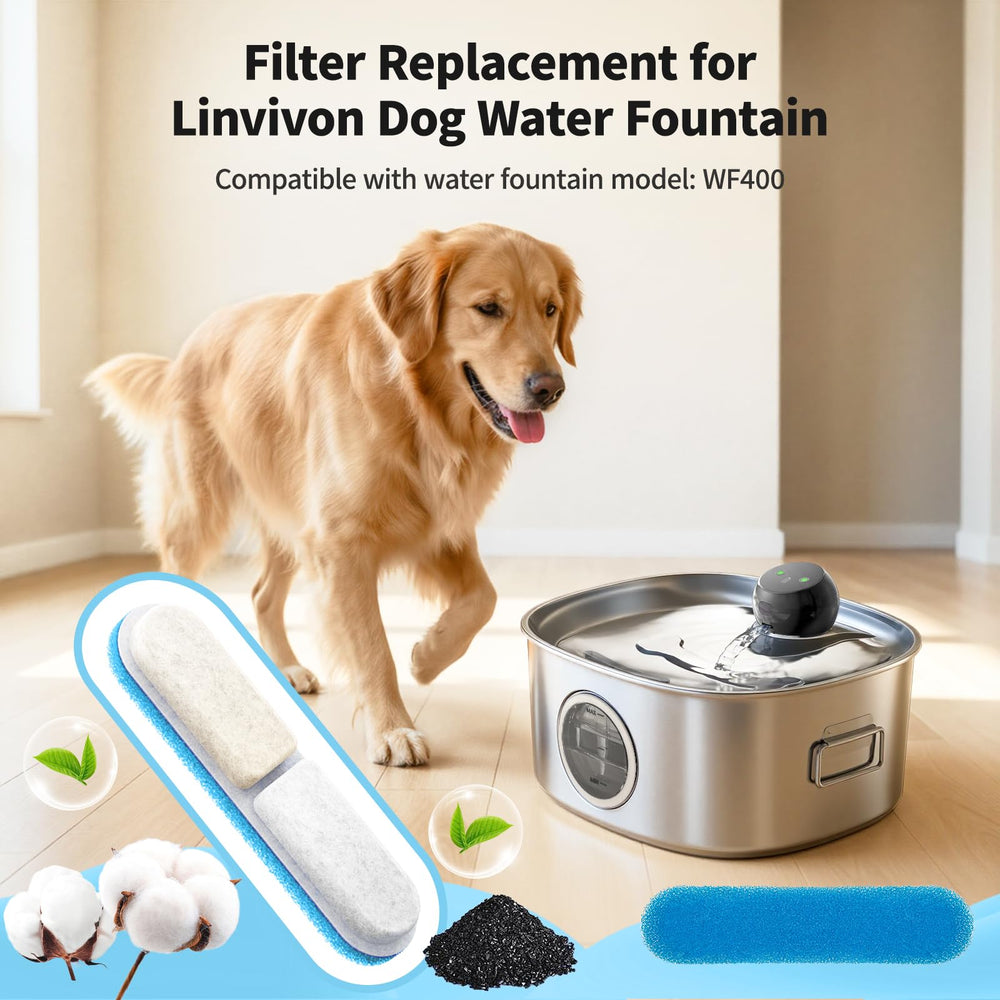 Coupe du filtre Linvivon révélant la couche de charbon actif améliorant goût et odeur