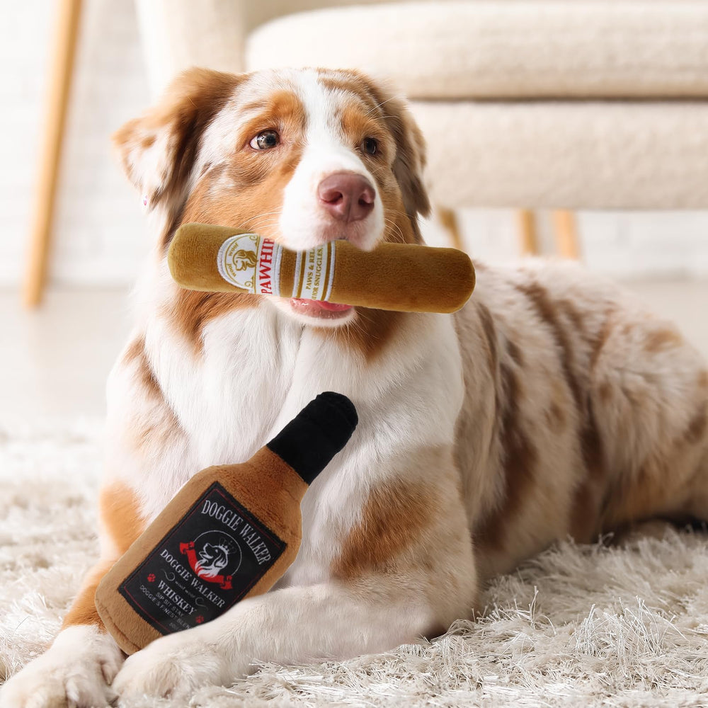 Linzy chien jouant avec peluche stimulant activité interactive