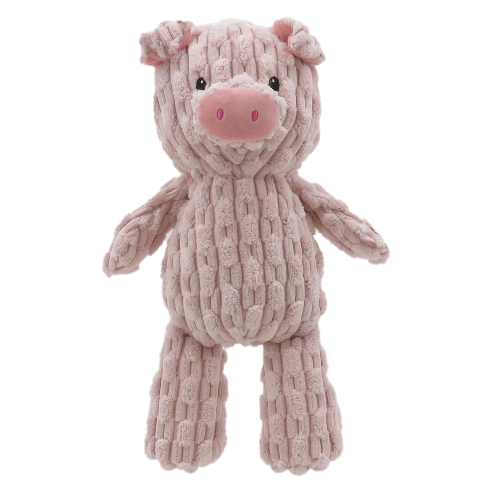Linzy cochon vue frontale montrant forme et attrait pour le jeu