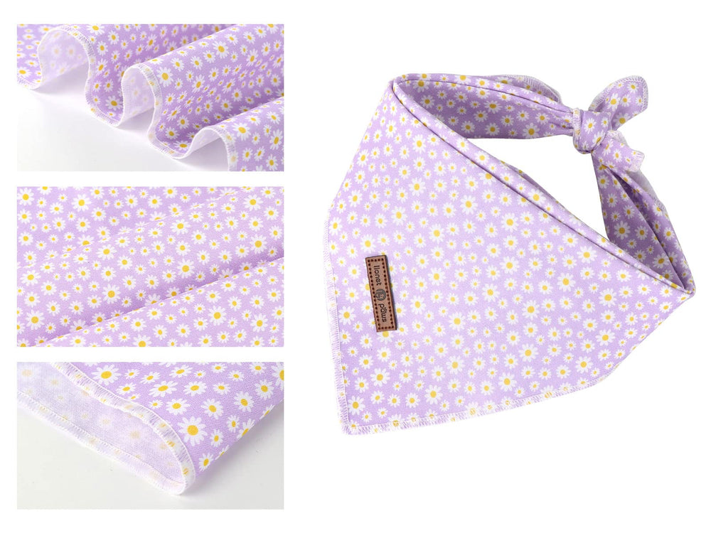Lionet Paws bandana porté sur chien montrant ajustement et look
