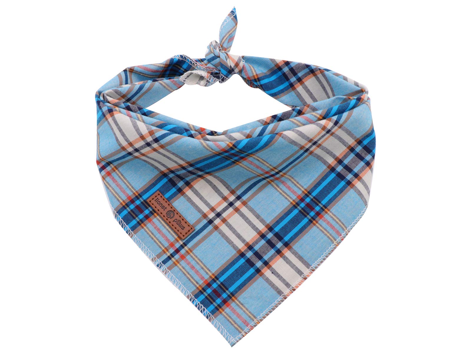 Lionet Paws bandana face avant montrant style et confort