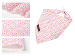 Lionet Paws bandana porté sur petit chien pour look printanier