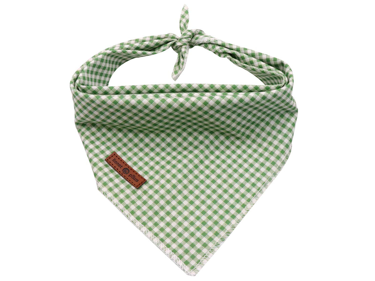 lionet paws face avant du bandana montrant motif et coupe, style soigné