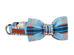 lionet paws collier avant bleu carreaux, look élégant immédiat