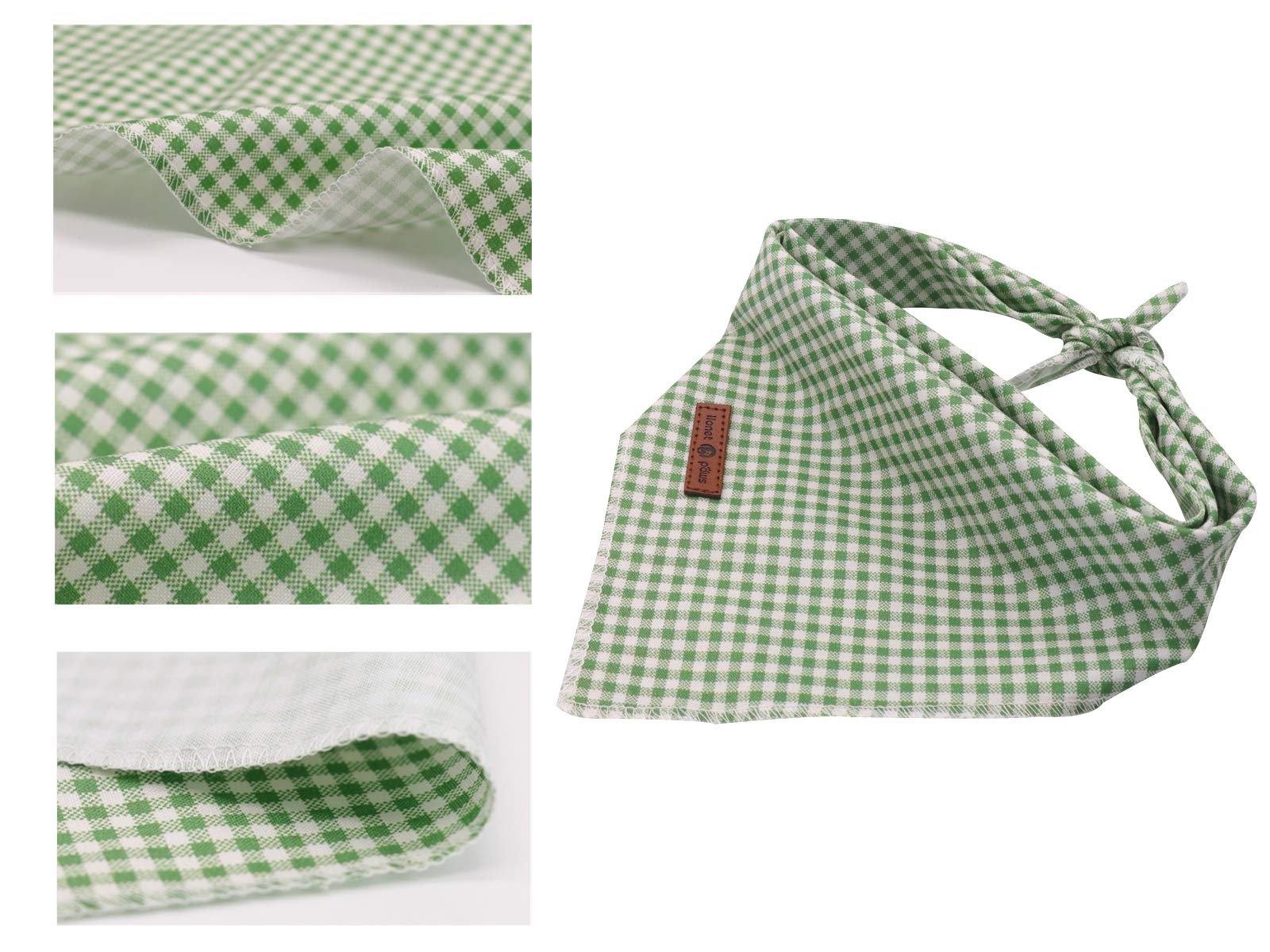 lionet paws bandana en photo studio pour fête, accessoire pour événements