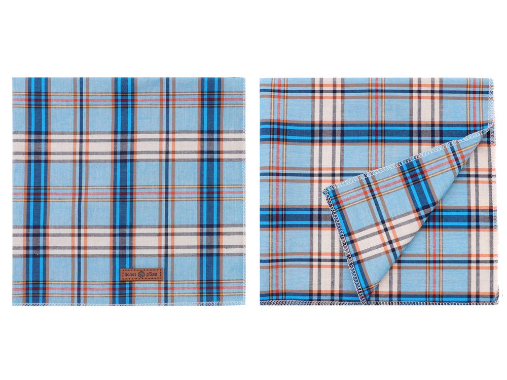 Lionet Paws bandana sur grand chien ajustement et élégance