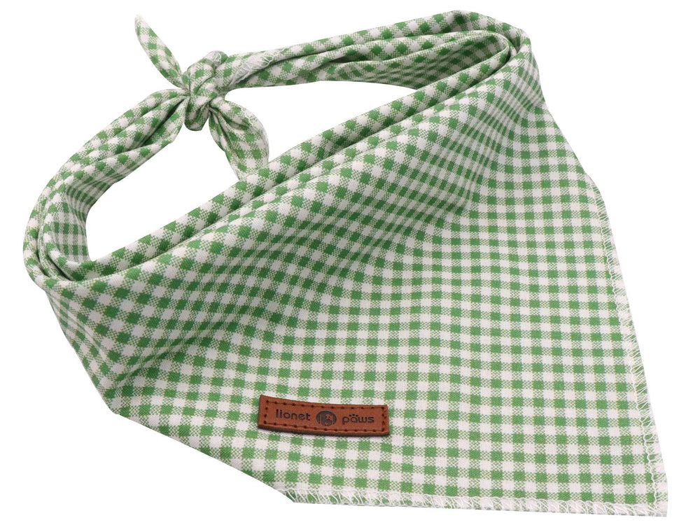 lionet paws bandana assorti à collier et laisse, coordination facile