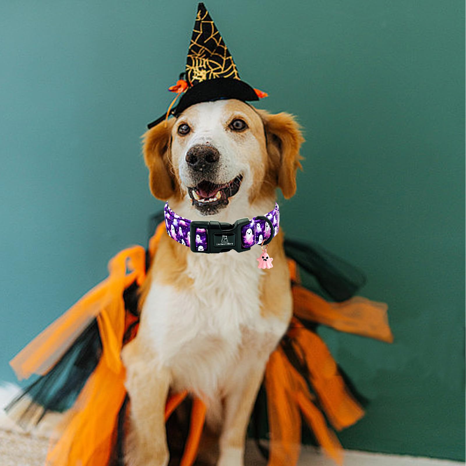 Lionheart glory collier en usage lors d'une balade d'Halloween festive