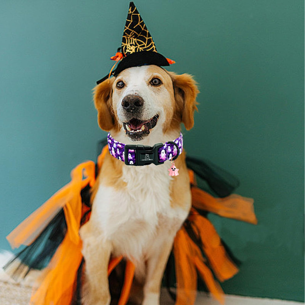 Lionheart glory collier en usage lors d'une balade d'Halloween festive