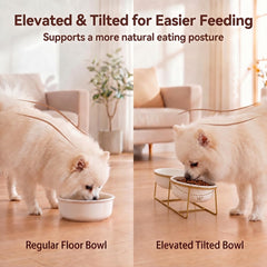LIONWEI LIONWELI bols remplis de nourriture et d'eau, organisation pratique pour repas