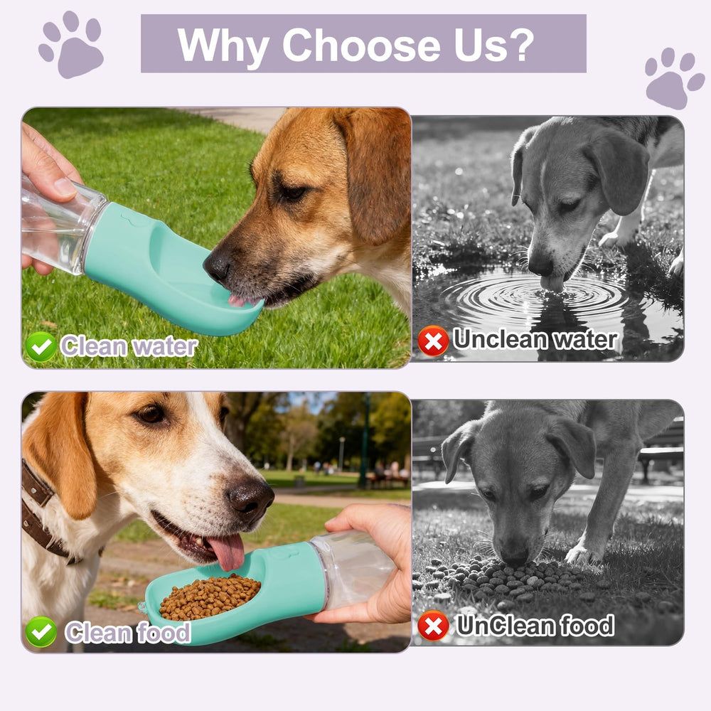 Liphier gourde utilisée en promenade hydratation pratique pour chien