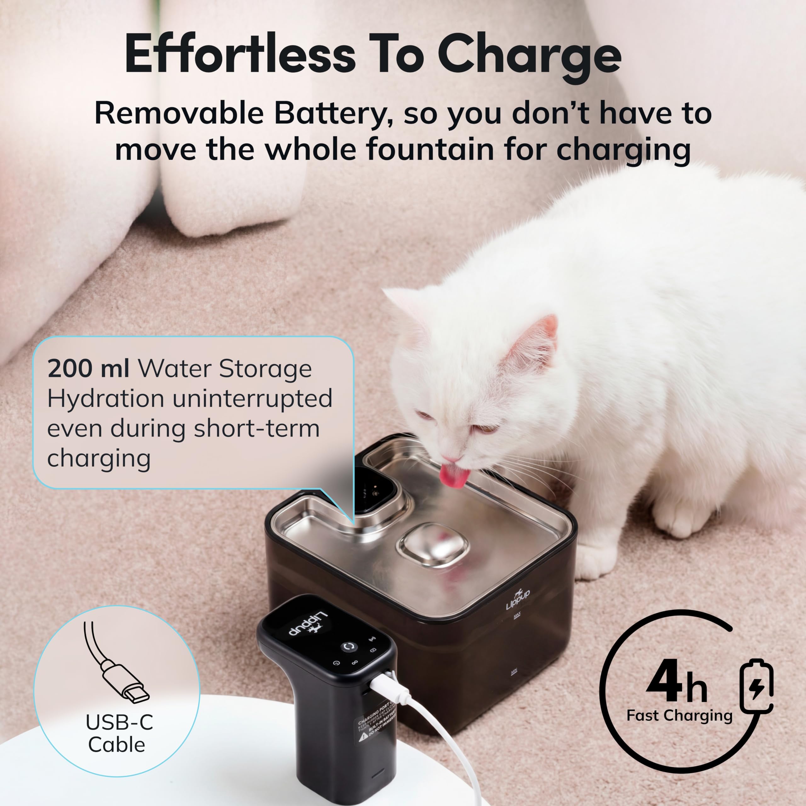 LIPPUP comparaison d'échelle affichant capacité 2,6 L et dimensions pratiques