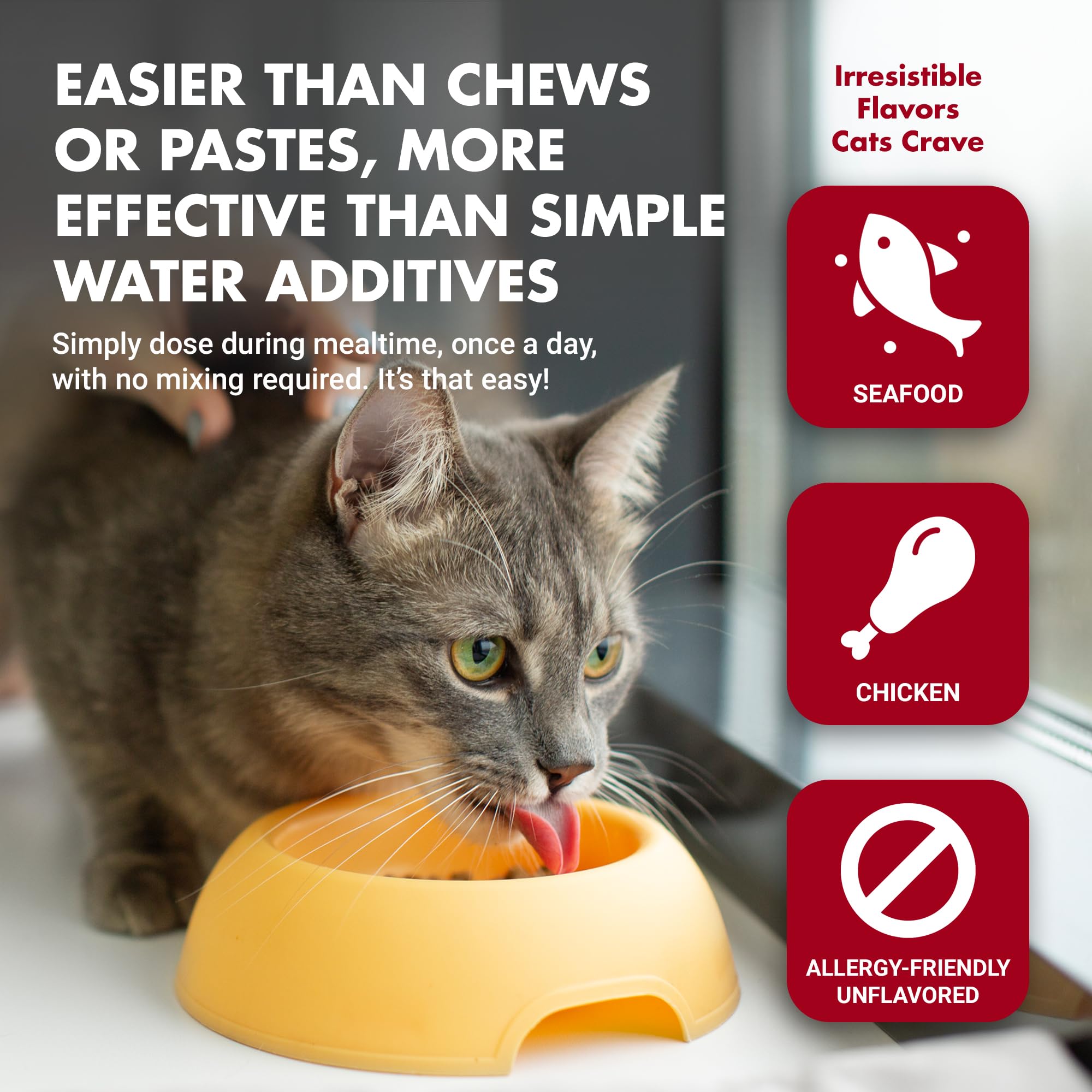 LIQUID-VET chat prenant le liquide goût poulet améliore acceptation