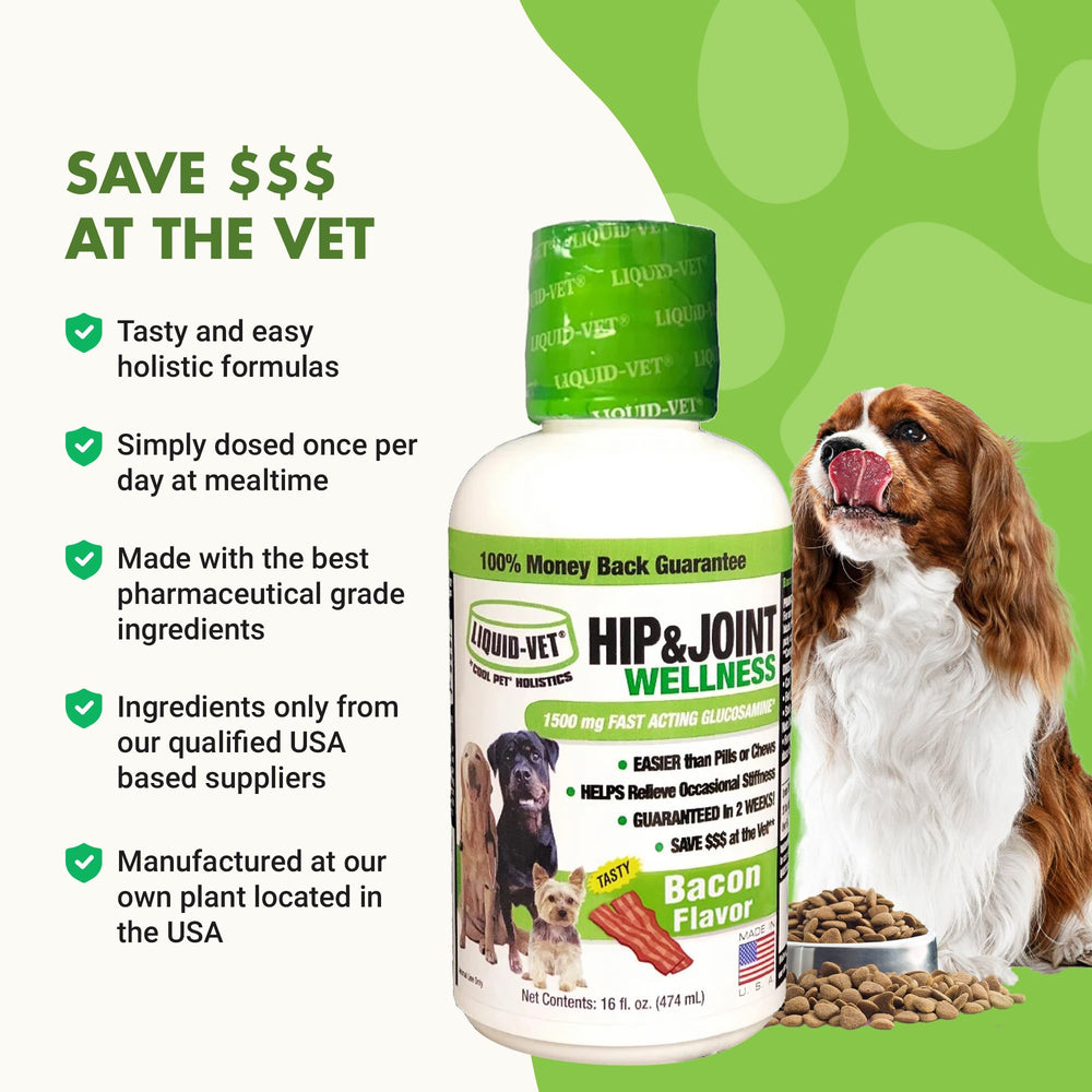 LIQUID-VET chien mangeant dans bol montrant acceptation et appétence