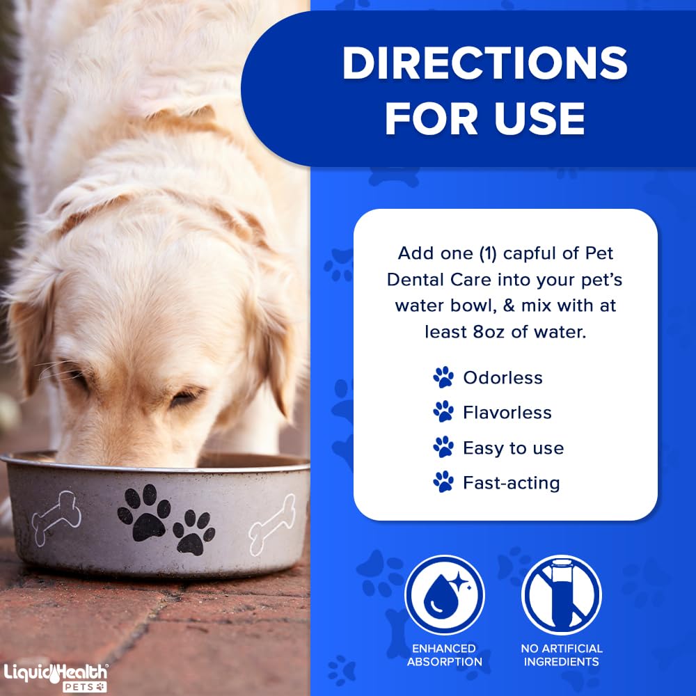 LIQUIDHEALTH chien buvant au bol illustrant acceptation et confort de l'animal