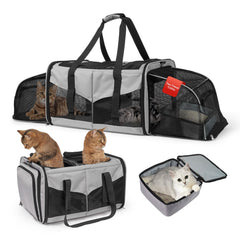 LitaiL vue avant du transporteur, protection et confort visibles