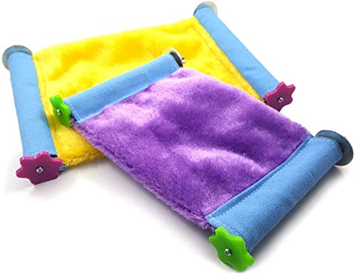 Litewoo ambiance cage montrant intégration et confort quotidien