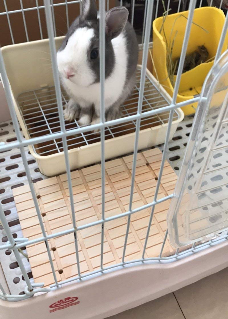 Litewoo plateau avec nourriture offrant stabilité et hygiène pour l'animal