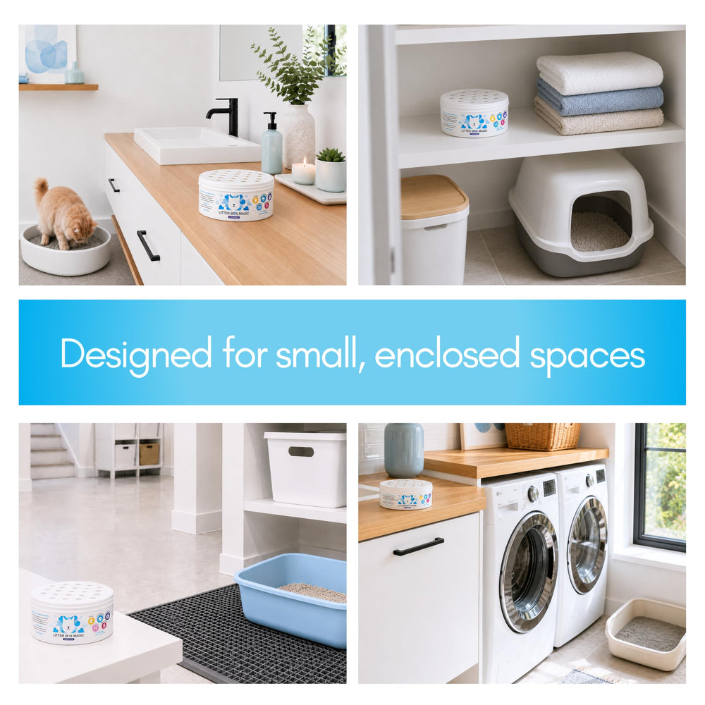 Litter Box Magic comparaison de taille avec une main pour évaluer volume