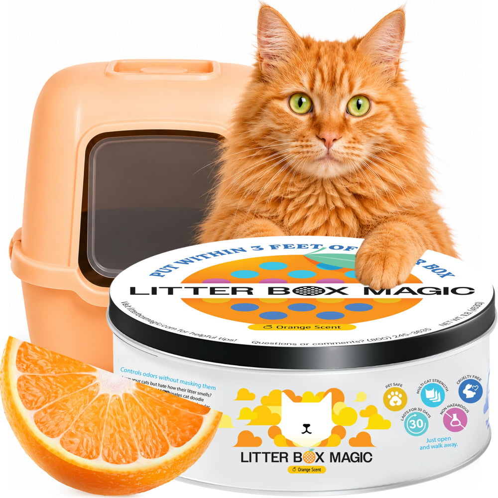 Litter Box Magic face du pot montrant étiquette et parfum orange, rafraîchit pièce