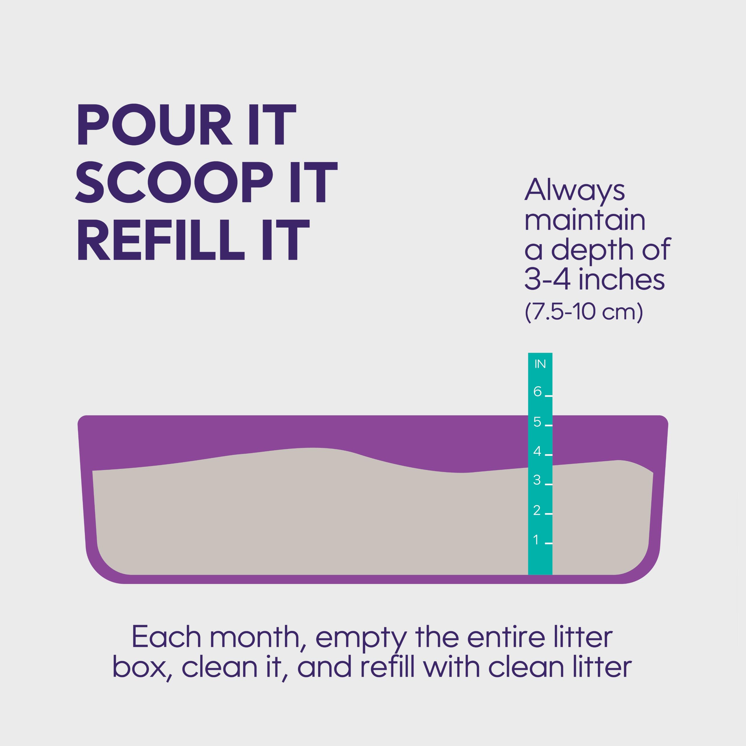 Litter Genie chat utilisant le bac montre confort et acceptation