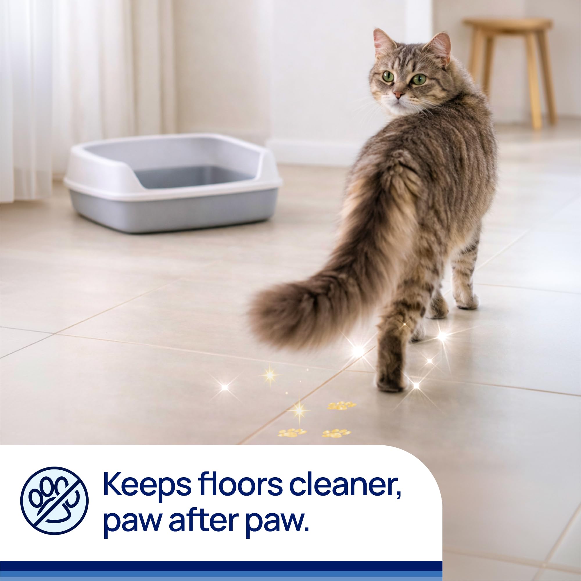 Litter Pearls dans un bac utilisé par un chat illustrant contrôle des odeurs