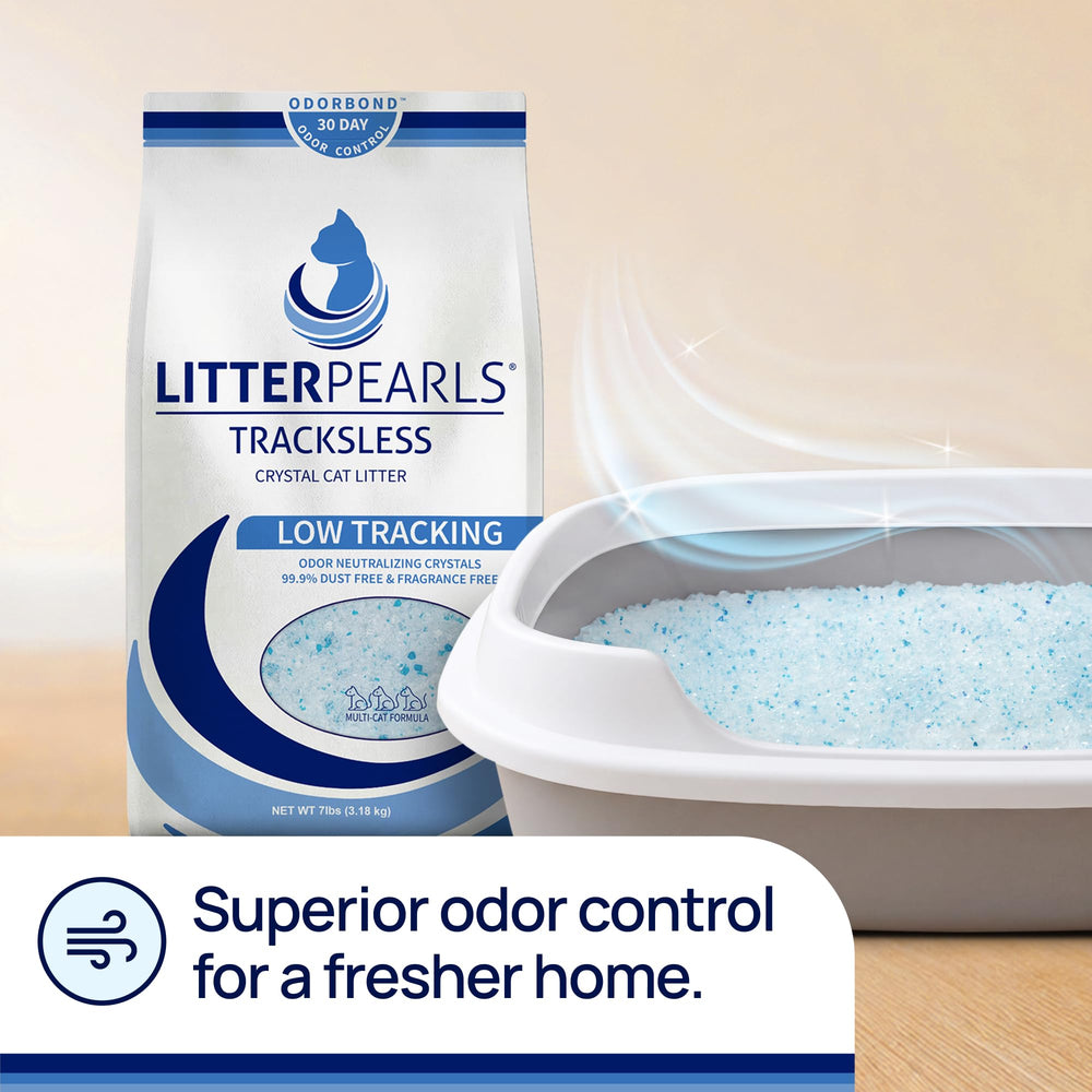 Litter Pearls comparaison de poids montrant litière plus légère et impact réduit