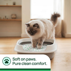 Litter Pearls texture douce pour pattes illustrant confort du chat