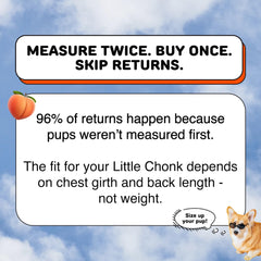 Little Chonk col renforcé en élasthanne assurant sécurité et confort